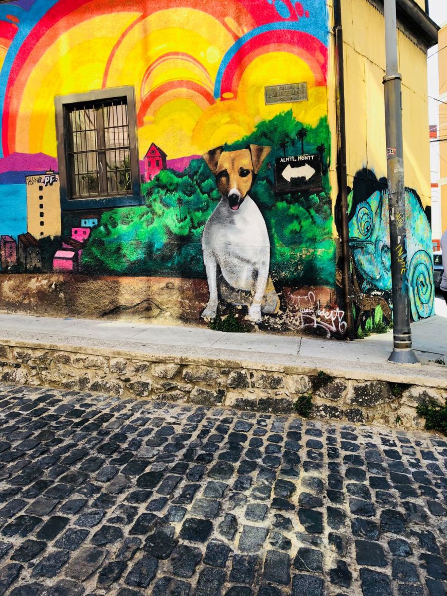 #LawTripChile2018 – Part Two: Chile – A Vibrant, Diverse and Beautiful Country!