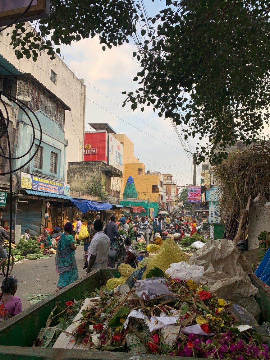 Night walks and naivety