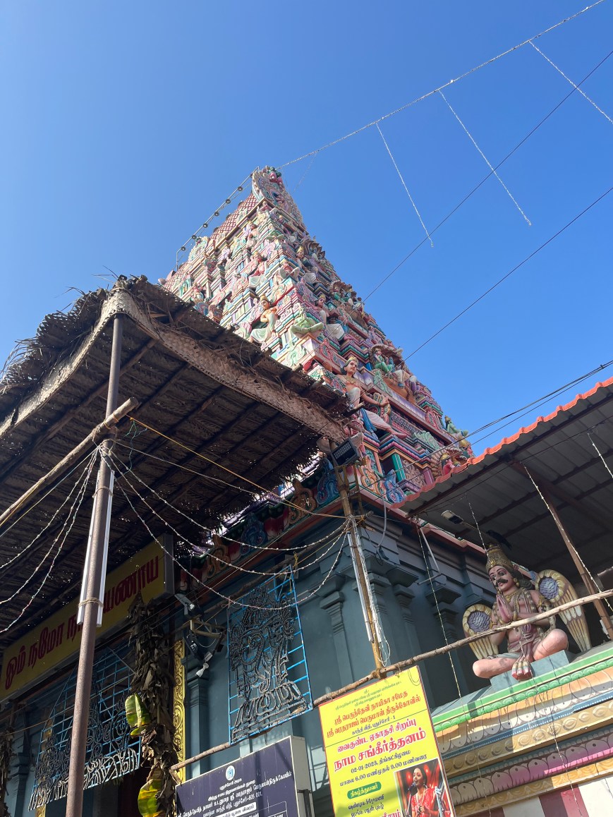 What my family has asked me since I arrived in India