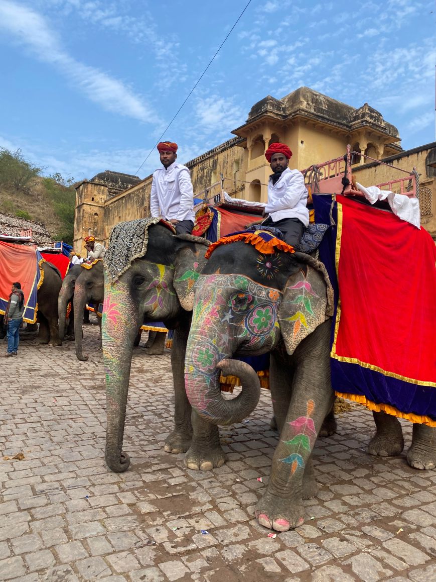 Highlights from my time in India