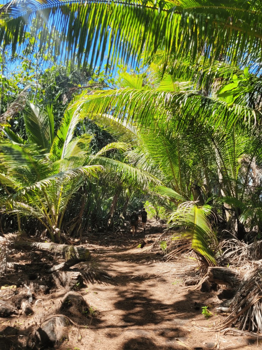 A day in the life at Hilo