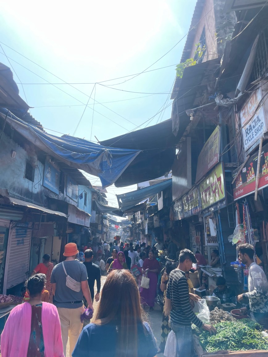 Evolving Perspective: Resilience within India