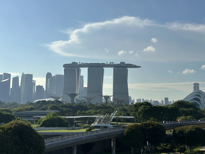 Thinking beyond New Zealand