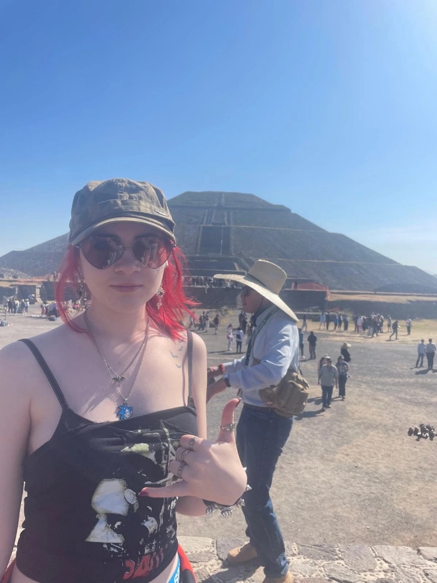 Social Science in the Netherlands