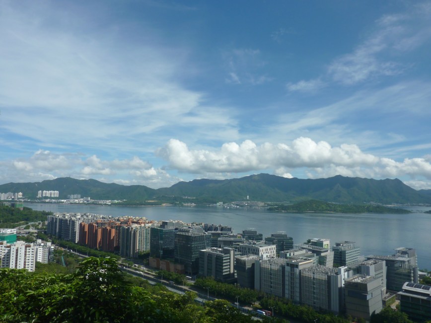 From the Green Fields of Waikato to the Mountain Top of Hong Kong