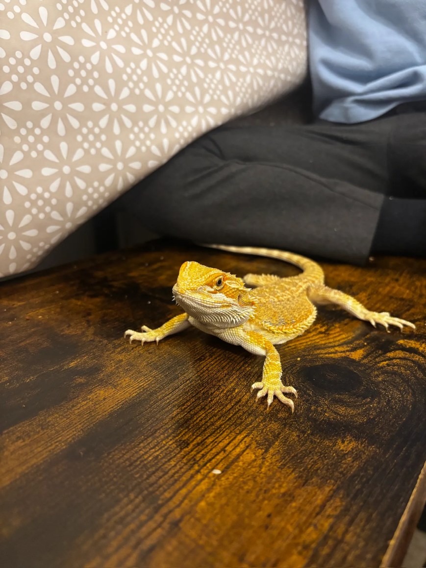 Home far away from home