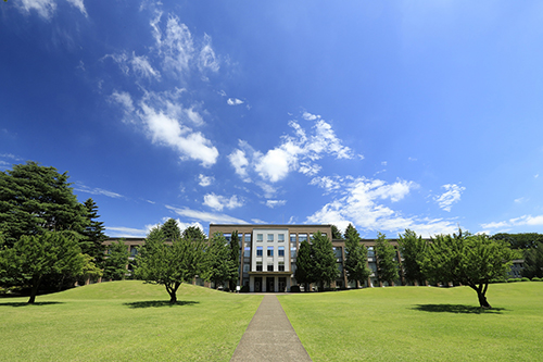 Buying an Abandoned House in Japan