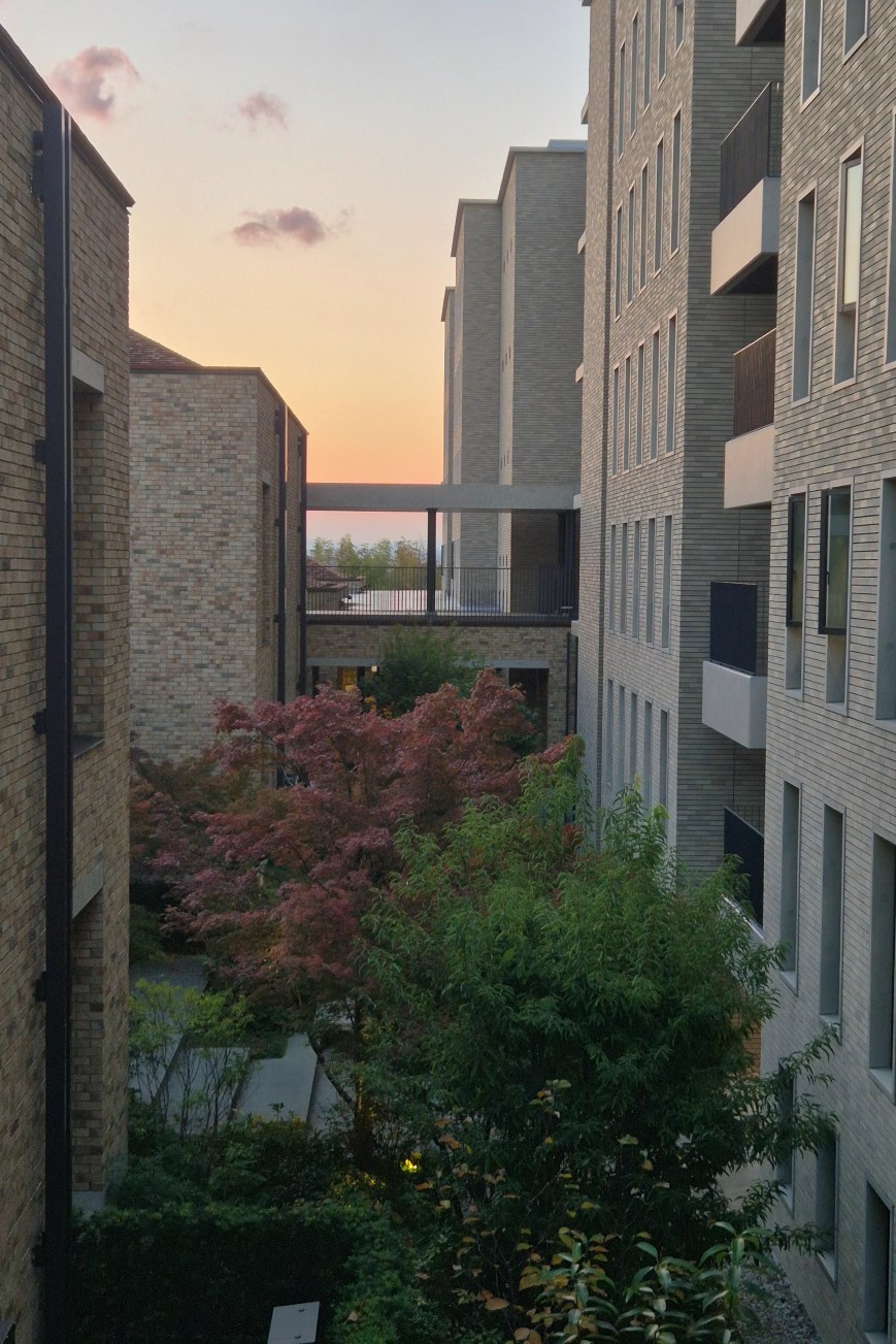 Excited To See What Else Lies Ahead