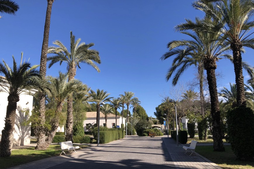 A Distinct and Vivid Chapter of My Life