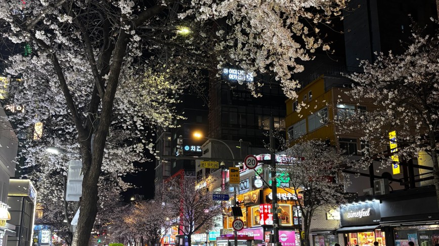 Iffah’s Seoul exchange diaries.