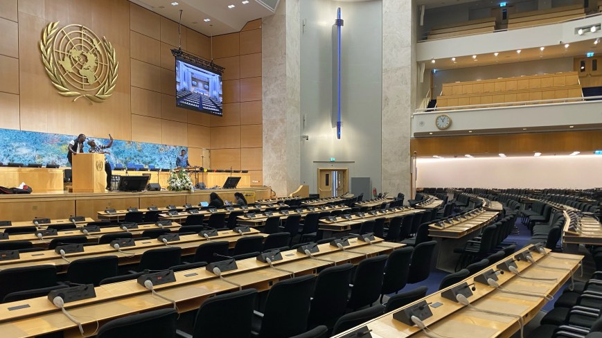 From Aotearoa to Geneva: lessons from the United Nations.